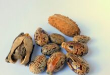 Co oznacza w oleju 4T? Co oznacza w oleju 4T?