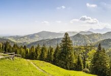 Ile kosztuje kabina lakiernicza? Ile kosztuje kabina lakiernicza?