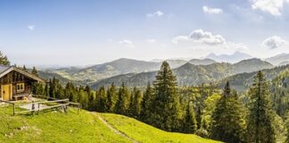 Ile kosztuje kabina lakiernicza?