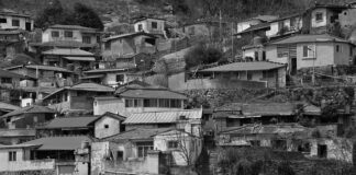 Czy na wolnych obrotach wypali się DPF?