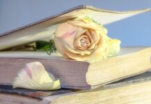 Czy warto kupić używany Ford S Max?