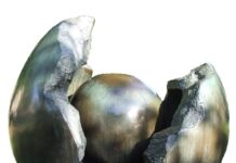 Ile kosztuje regeneracja filtra cząstek stałych? Ile kosztuje regeneracja filtra cząstek stałych?