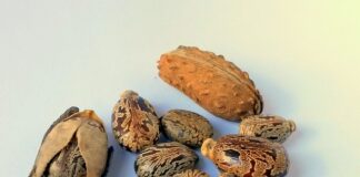 Ile kosztuje wymiana oleju i filtra w samochodzie?