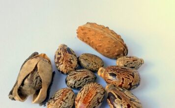 Ile kosztuje wymiana oleju i filtra w samochodzie?