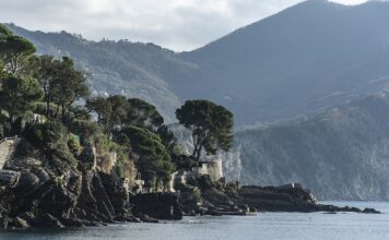 Ile kosztuje wymiana odmy?