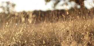 Ile kosztuje wymiana wszystkich filtrów i oleju w samochodzie?