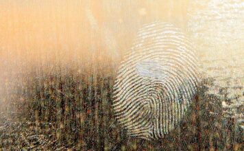 Jaki smar do zawieszenia w quadzie?