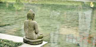 Ile kosztuje instalacja gazowa do silnika Ecoboost?