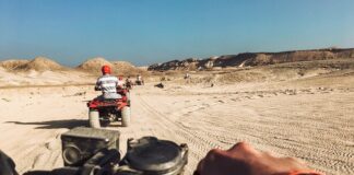 Jaki Motul do quada?