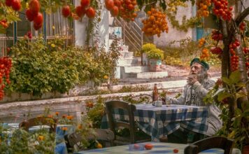 Ile pali Honda FR-V? Ile pali Honda FR-V?