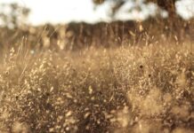 Ile trwa wymiana filtrów w samochodzie?