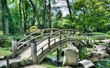 Ile oleju wchodzi do mostu Opel Frontera?