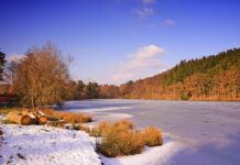 Czemu zamarza odma w silniku?