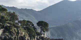 Ile kosztuje wymiana oleju i filtrów w samochodzie?