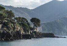 Ile kosztuje nowy samochód smart? Ile kosztuje nowy samochód smart?