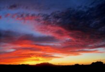 Co jest potrzebne do flokowania? Co jest potrzebne do flokowania?