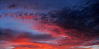 Co jest potrzebne do flokowania?